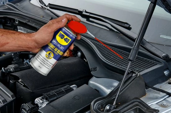 WD-40 Specialist® Siliconenspray - 250ml - Smeermiddel - Siliconenvet - Voor Hogedruk Apparatuur 5 WD-40 Specialist® Siliconenspray - 250ml - Smeermiddel - Siliconenvet - Voor Hogedruk Apparatuur - Afbeelding 5