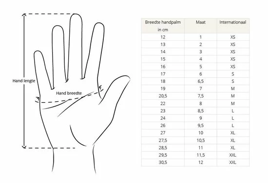 Basic Touchscreen Sport Handschoenen - Maat M 4 Basic Touchscreen Sport Handschoenen - Maat M - Afbeelding 4
