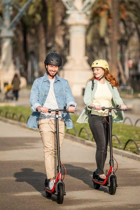 Segway-Ninebot Kickscooter D28E 8 Segway-Ninebot Kickscooter D28E - Afbeelding 8